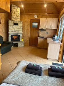 a living room with a kitchen and a fireplace at STUDIO HOUSE in Serock