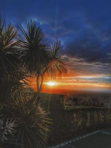 una puesta de sol con una palmera en una colina en Mosteiros Place en Mosteiros