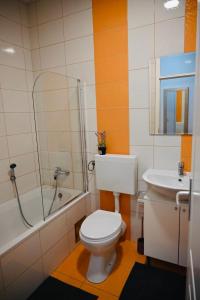 a bathroom with a toilet and a sink at Apartman Tena in Vukovar