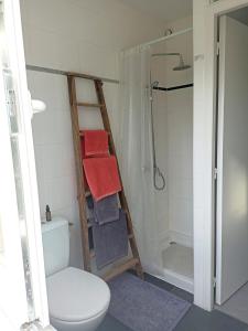 Łazienka z drabiną obok toalety i prysznicem w obiekcie La clématite d'olt w mieście Saint-Côme-dʼOlt