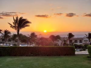 una puesta de sol sobre el océano con una palmera en La Vista 6 Ain Sokhna Chaleh, en Ain Sokhna