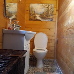 a bathroom with a toilet and a sink at Evdokia Country Maisonette in Áyios Mámas