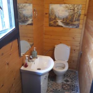 a bathroom with a toilet and a sink at Evdokia Country Maisonette in Áyios Mámas