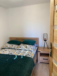 a bedroom with a bed with green sheets and a table at Czeleniówka in Solina