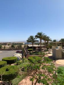 a resort with palm trees and a parking lot at Sunset pearl Sahl Hashesh in Hurghada