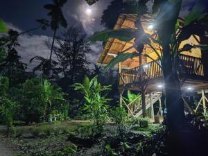 een huis in de jungle 's nachts bij Mama Yeya raíces in San Cipriano