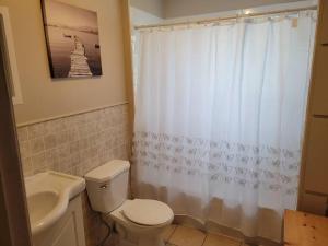 a bathroom with a toilet and a sink and a shower curtain at Le petit chalet de pierres in Sainte-Luce-sur-Mer