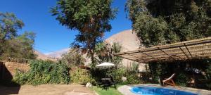 a backyard with a swimming pool and a umbrella at Cabaña en Valle de Elqui in Horcon