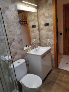 a bathroom with a toilet and a sink and a mirror at Casa Rural El Rincon del Infante in Villa de Don Fadrique +69 photos