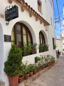 ein Gebäude mit Topfpflanzen nebeneinander in der Unterkunft P&R hostals Codolar in Tossa de Mar