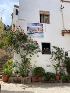 a white building with potted plants and a window at P&R hostals Codolar in Tossa de Mar