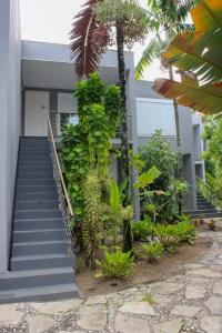 a building with stairs and plants in front of it at Villa dos Graffitis Pousada in Morro de São Paulo