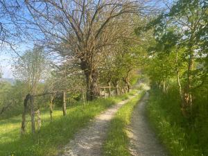un chemin de terre dans un champ arboré dans l'établissement Gamberotti private valley, à Santa Sofia