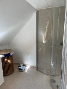 uma casa de banho com um chuveiro e uma porta de vidro em Cafe Sallys bed and breakfast em Ribe