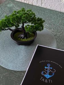 a bonsai tree sitting on a table next to a book at TA&TI in Ohrid