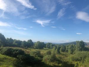 a view of a field with trees and a blue sky at Highland cabin - relaxing hot tub in Inverness