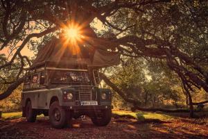 un camión estacionado bajo un árbol con el sol brillando sobre él en ZuriCamp - Campsite Halishi, en Tsumeb