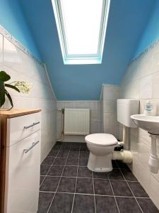 a bathroom with a toilet and a sink and a skylight at Jacky & Daniel's Apartments Top 2 in Sankt Pölten