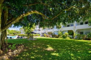 a large tree in front of a building at ZenBreak Golden View #115 in Saint James