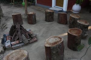a group of tree stumps and a fire place at Kaikane homestay in Madikeri