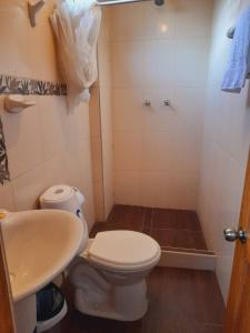 een badkamer met een toilet, een wastafel en een douche bij Hostal Raymi in Ollantaytambo