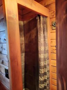 La salle de bains est pourvue d'une douche avec rideau de douche. dans l'établissement Tiny Cabin located on the outskirts of Mohican State Park, 