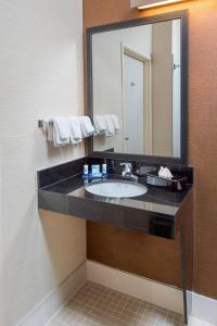 a bathroom with a sink and a large mirror at Fairfield Inn Tuscaloosa in Tuscaloosa
