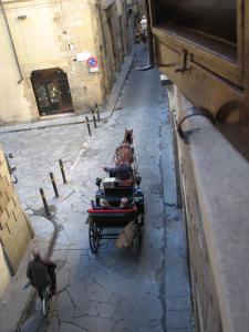 un hombre en un carruaje tirado por caballos en una calle en B&B Fiordaliso, en Florencia