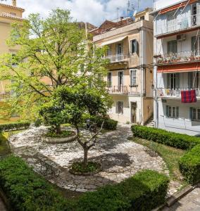 a courtyard with a tree in front of a building at Lorenzo Mavili Suite in Corfu Town