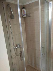 a bathroom with a shower with a glass door at AMISIANA LITTLE BEAUTY NEXT TO NATURE in Kavala