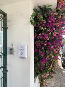 a bunch of flowers on the side of a building at Linda Vista Mar T1, A-C, Wi-Fi, Porches in Porches