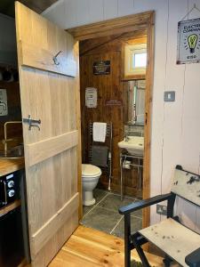 uma casa de banho com um WC e um lavatório em Skipbridge Farm Glamping em Green Hammerton