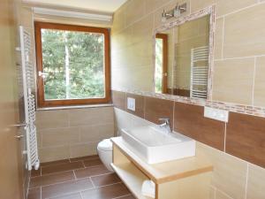 een badkamer met een wastafel, een spiegel en een toilet bij Haus Unterdieterer in Annaberg im Lammertal