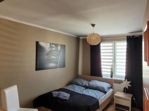 sypialnia z łóżkiem i oknem w obiekcie Apartament Palisadowa w Wałbrzychu