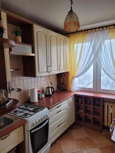 Kuchyňa alebo kuchynka v ubytovaní Apartament Basztowa