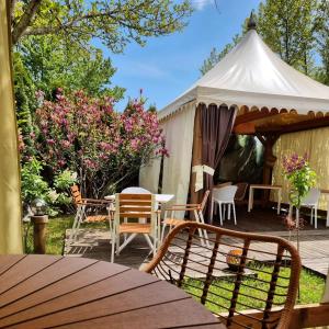 ComăneştiにあるPensiunea Casa Georgiaの庭に椅子とテーブルが備わる白いテント