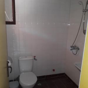 a small bathroom with a toilet and a shower at Къмпинг ЕНЕРДЖИ in Varna City +18 photos