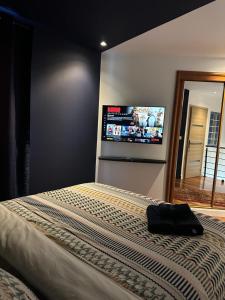 a bedroom with a bed with a flat screen tv on the wall at Pink Tropical Champagne in Reims