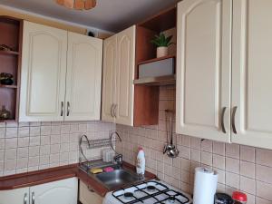 Kuchyňa alebo kuchynka v ubytovaní Apartament Basztowa