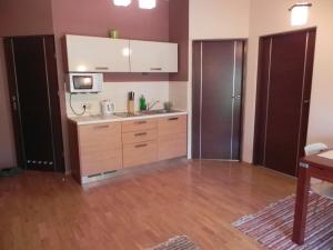 a kitchen with a sink and a microwave at Apartament Brandy Radowid in Zakopane