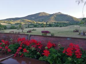 Gallery image of Agriturismo Il Marrucheto in Scala Santa +32 photos