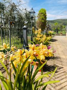 Un mazzo di fiori gialli vicino a una recinzione di Le Coccole Del Trasimeno a Tuoro sul Trasimeno
