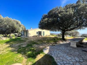 a park with a bench and a tree and a building at La Striscia Larga in San Pasquale