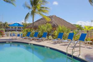 een groep blauwe stoelen en een zwembad bij Courtyard by Marriott Key Largo in Key Largo