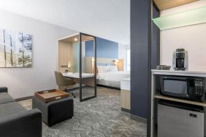 フリーモントにあるSpringHill Suites by Marriott San Jose Fremontのベッドとテレビ付きのホテルルーム