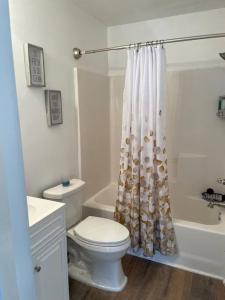 a bathroom with a toilet and a shower curtain at Look No Further! in Nashville