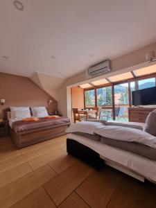 a large bedroom with two beds and a television at Wieczorek Pokoje Gościnne Całoroczne jacuzzi ogrodowe in Szczyrk +98 photos
