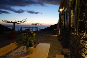 Táj Show holiday homes közelében