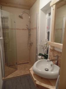 ein Bad mit einer Dusche und einem weißen Waschbecken in der Unterkunft Ferienhaus für 2 Personen ca 40 m in Vichtenstein, Oberösterreich Donau Oberösterreich in Vichtenstein