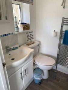 a bathroom with a white toilet and a sink at Rural cosy retreat for two near Port Isaac in Delabole